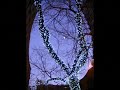 A Winter\