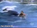 للمزيد من ااخبار والافلام زوروناhttp://iraq2010.montadarabi.com/index.htm