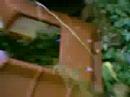 Dinos, Cats and Cars 2
