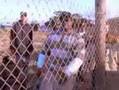 Eazy E & Gangsta Dresta & Bg Knocc Out - Real Muthaphukin Gz