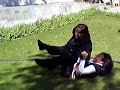 luchas de las sicarias