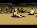 Aikido, Doshu Moriteru Ueshiba
