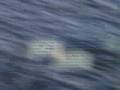 Protection Boats sea trials part 2 Protection Boats sea trials part 2