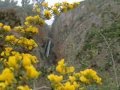 صور طبيعة ،أزهار الربيع، مناظر حلوة flower ,spring,nature