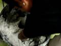 videos de pahoa skate park