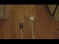 My-Spanish-2-Movie