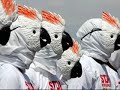 dedicated-to-the-indonesian-parrot-project.html