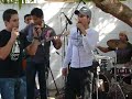 don gato y su pandilla