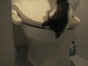 ７ヶ月前にＵＰした『禁じられた遊び』を英語版に修正しました。http://blog.goo.ne.jp/happynekochan2