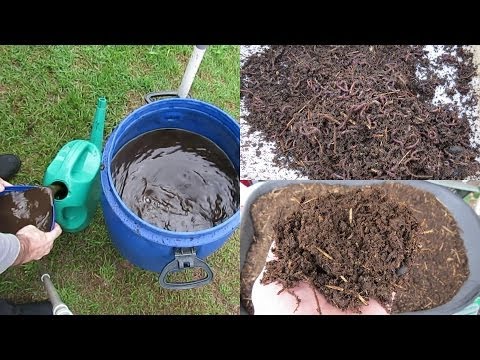 how to make a veggie patch