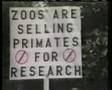 The Animal Sources