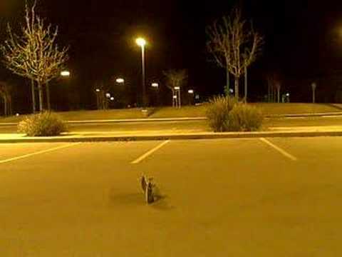 crappy ollie