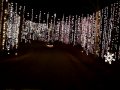 Happy Holidays at Fantasy In Lights, Callaway Gardens, 11/26/2009.