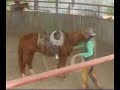 Best Bar None Ranch, Georgia - \"Spring Works\" : Part 1