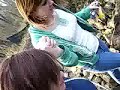 stream