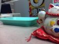 サッカーくじ