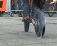 KTM-Supermotard-Stun