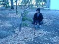 El viento en la hojarasca xD El viento en la hojarasca xD