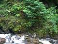 videos de TorcWaterfall.MOV