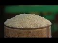 East Timor attempts to answer food crisis - 27 Apr 08
