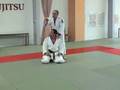 NE WAZA avec Yves DELVINGT
