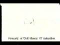 Lion King- Cut scene 5- Zira's Suicide