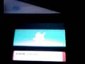 videos de Chimchar evolved into a Monferno