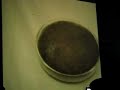Botany 2: Fungi