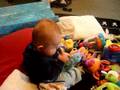 videos de royden