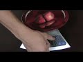 SALTER - Nutritional Scale
