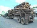 Congress Vote to Protect Thousands of Hectares