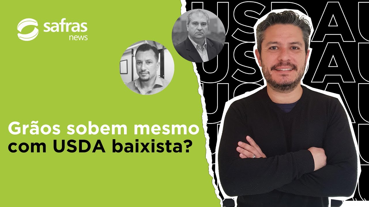 Como foi o relatório do USDA de setembro para soja, milho e trigo? – Pós-USDA
