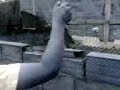 Video007.3gp