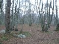 Betatrail Farsund Betatrail Farsund
