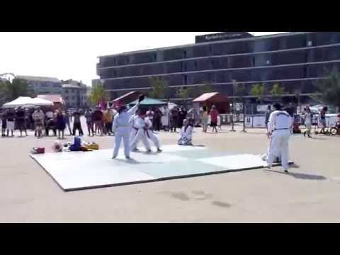 Démonstration technique
