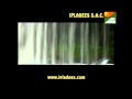Ver Video