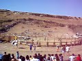 Genoni - X rodeo cavallini della Giara 12 agosto 2007