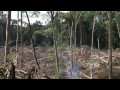 The Views of the Experts on Agrarian Conflicts in Indonesia