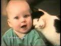Hilarious Cats!