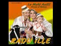 Radu ILLE Suflet de morosan