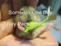 Someday One Day (Remix)