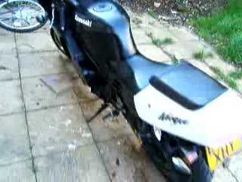 zx 250