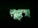 Liquid Limbs - Nautilus (live)