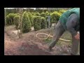 Tips en wetenswaardigheden voor uw tuin, balkon, terras en vijver. Gerard van Run, van Tuincentrum van Run uit Vught vertelt er over.De programma's zijn gemaakt in samenwerking met VTV1 en worden daar wekelijks uitgezonden.