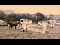 Show Jumping Remix HD
