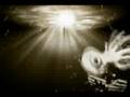 videos de animation