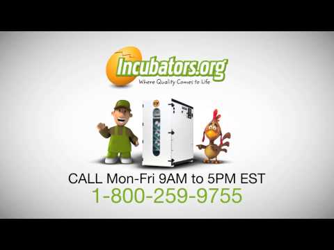 GQF MFG Digital Sportsman Cabinet Incubator 1502