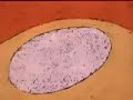Roberto Catani - La Funambola