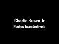 pontes-indestrutivei