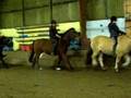 videos de 22.11.08